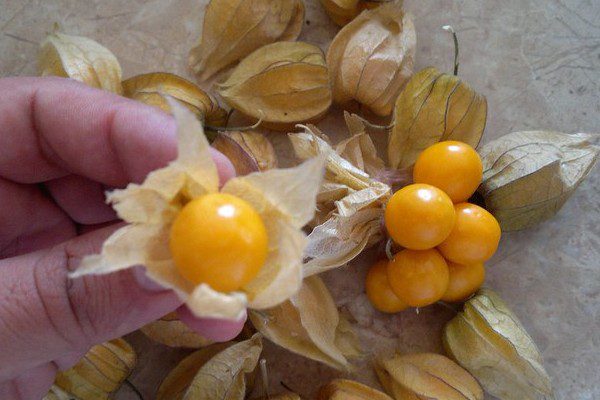 6 Peruvian Fruits You Should Try (if You Haven't Already)